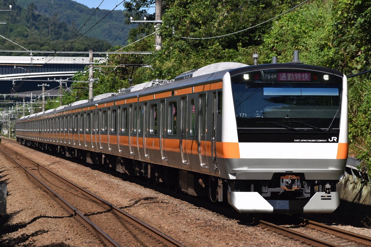 ｻﾝｼｬｲﾝ233 tweet media