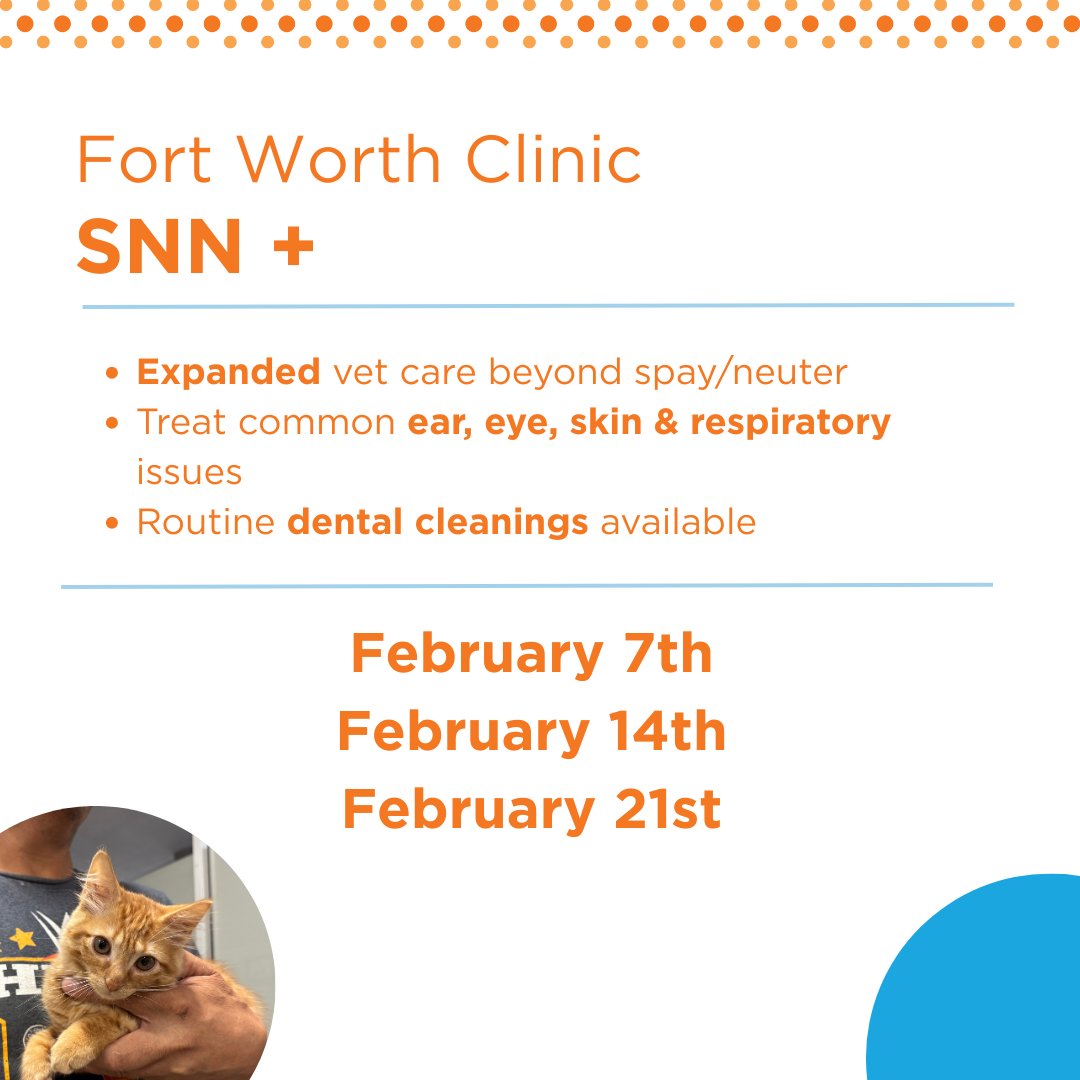 SNN+ is now available at our Fort Worth Clinic! 🐾
Expanded, low-cost vet care for common medical issues and routine dental cleanings—bridging the gap between basic care and full-service clinics.

📍 Fort Worth Clinic
👉 Book: spayneuternet.org/programs-and-s…