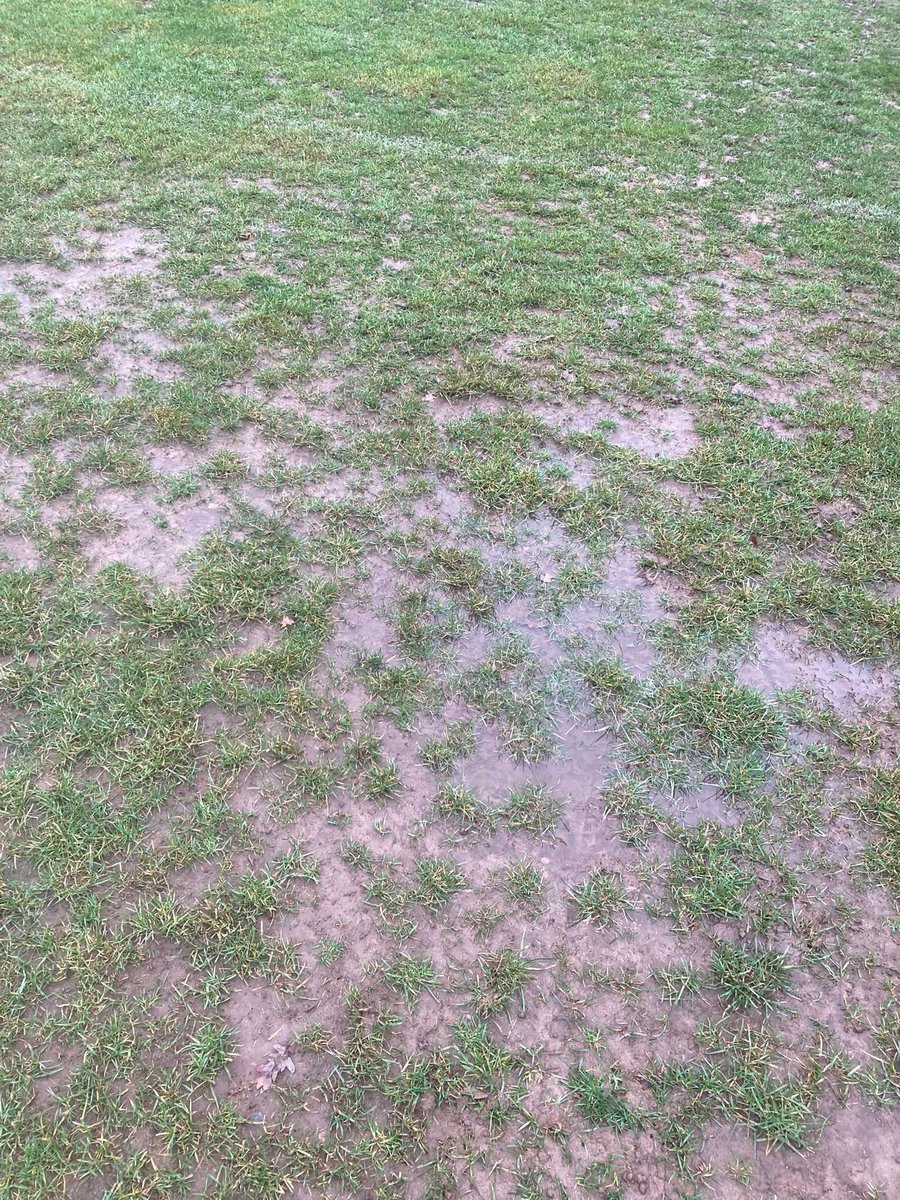 HCIFC's tweet photo. Tomorrow's clash with @DinnoTownFC has been postponed due to a waterlogged pitch. 

It's yet another game that will be re-arranged in due course.

Enjoy your weekend folks and fingers crossed we'll get another game played soon!!! https://t.co/yNan36jewR