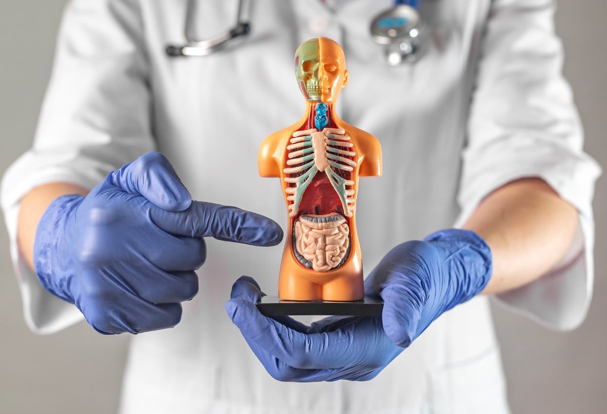 The Risks of Colonoscopy

The benefits and risks depend on compliance with the screening protocol, the chance of meeting with an experienced endoscopist, and your own risk of developing colon cancer.

For a person with a family history of colorectal cancer, it might be more