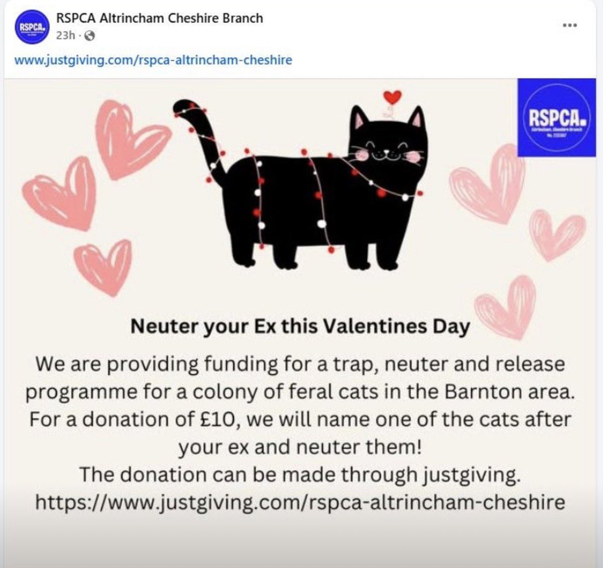 dominic dyer tweet media