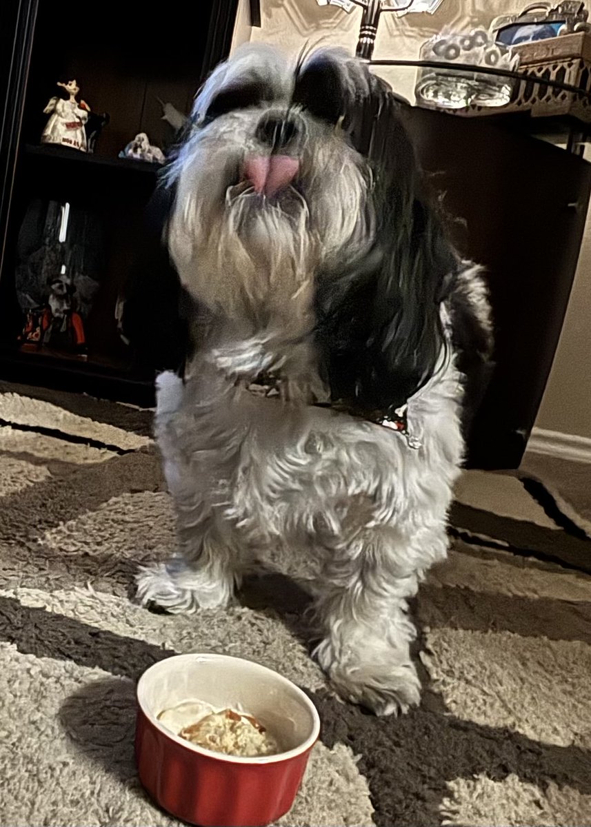 Enjoy the moments😍🤘
#fridayvibes
#weekendfeels
#eatyourcake