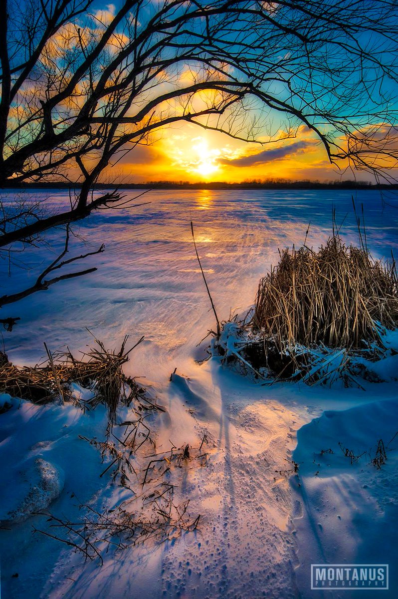 James Montanus tweet media