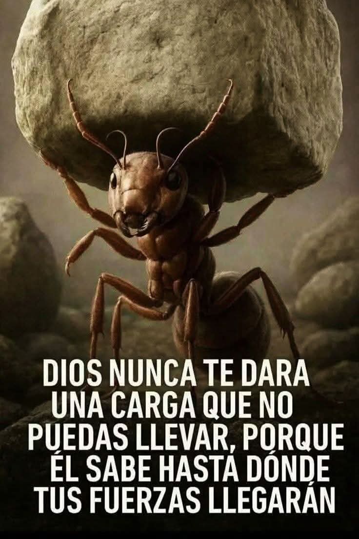 pc_cabello's tweet photo. Pues regreso a publicar por aquí... solo hace falta que me quieran prohibir algo para que me den más ganas de hacerlo... 😎
Mira que les gusta prohibir a los mafiosos 🤠 https://t.co/a36dpxZDnt