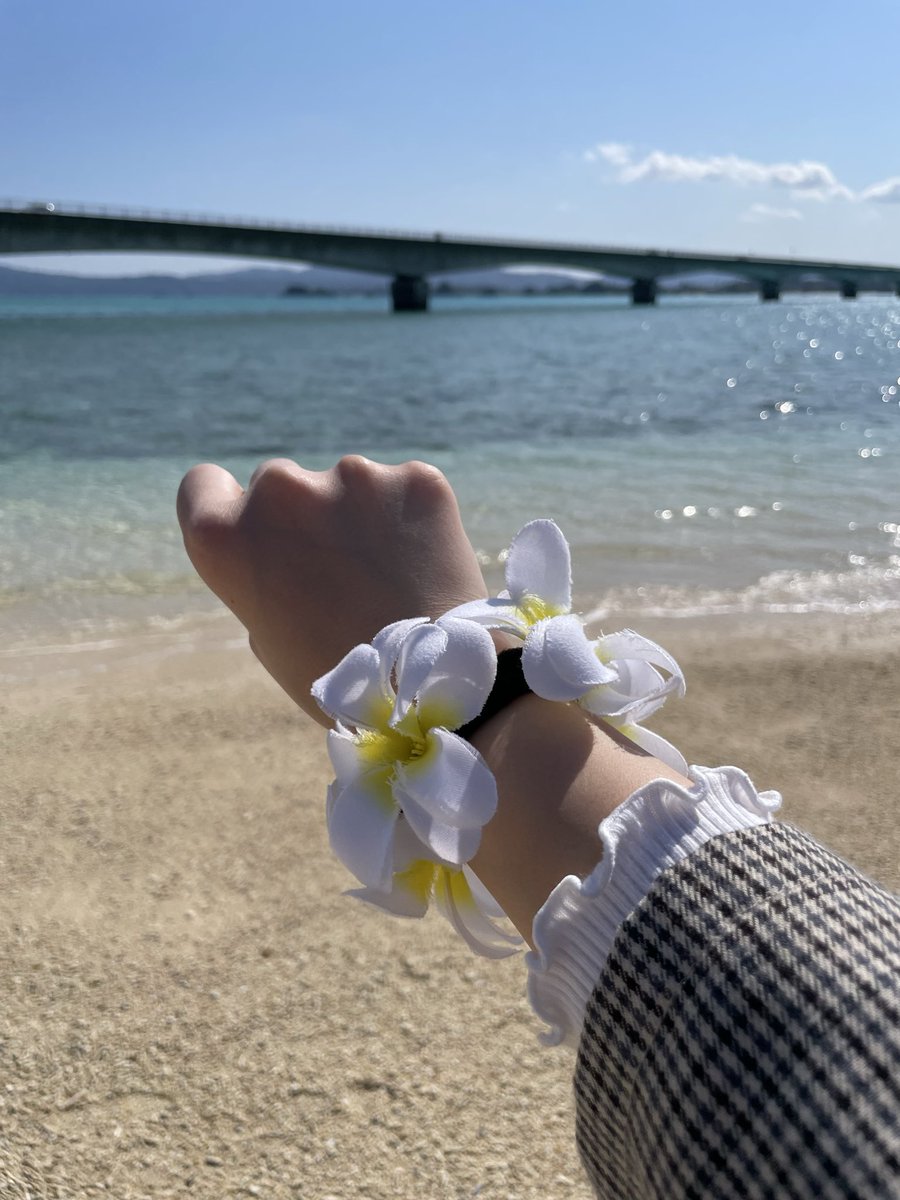 Mona_Happy06's tweet photo. ＠akarin__rin 
あかりんお久しぶり〜🫶
沖縄���行って来たので、あかりんとお揃いのハイビスカスのアクセサリー🌺とジャングリア🦕で写真撮ってきたよ https://t.co/91vrSWGs20