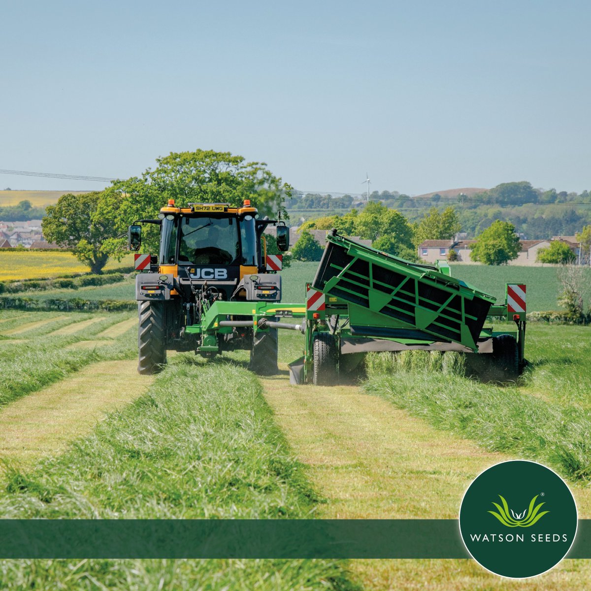 Watson Seeds tweet media