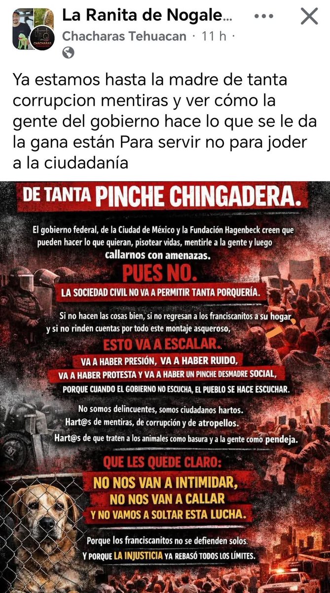 Megce1952's tweet photo. @ClaraBrugadaM @Claudiashein @SCJN @marianoosorio1 @PaolaRojas @FiscaliaCDMX Berta Alcalde 
Que les quede claro, ya regresen a los perros y gatos a su legítimo RefugioFranciscano,cumplan con la orden!!!! https://t.co/v9ukrXUqPW