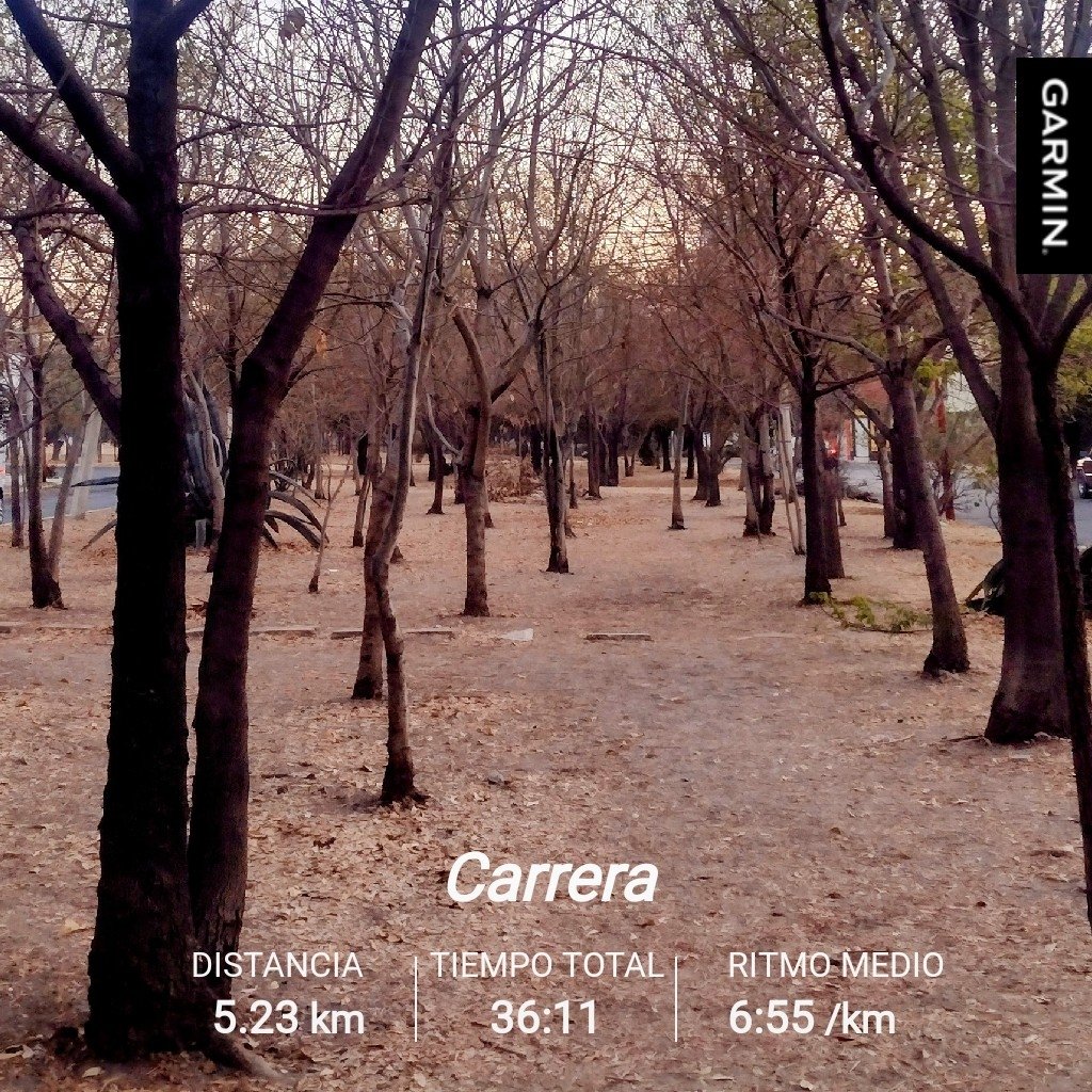 La magia del invierno está en sus silencios, en la paz que trae consigo #FelizViernes #SumandoKMx #MeEncantaCorrer #CorroAMiPaso <a href="/Comunirunners/">Comunirunners</a> <a href="/MeEncantaCorrer/">Me Encanta Correr</a> <a href="/ManicomioRunner/">Manicomio Runner \m/ 🤪 \m/</a>