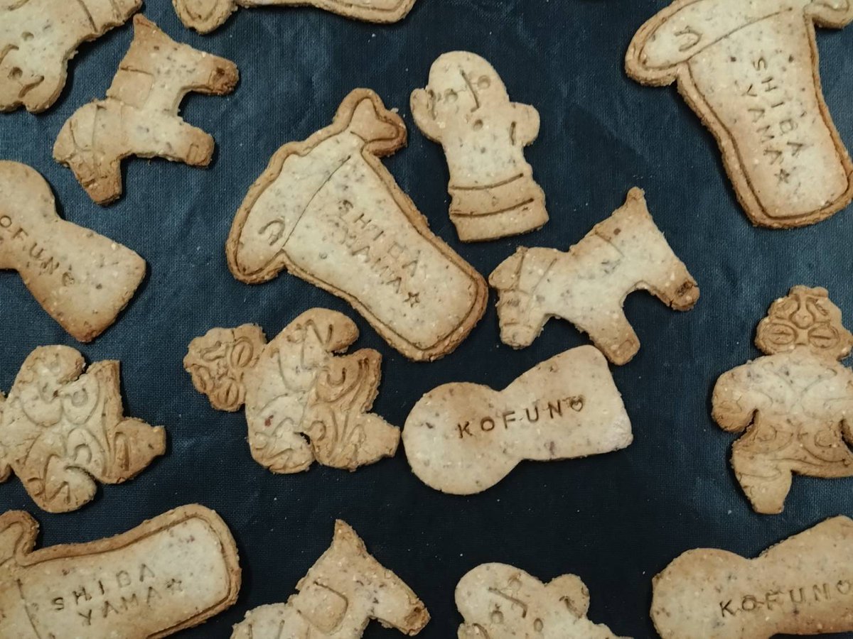 しばっこくん応援 (@shibakun_iam) / Posts / X