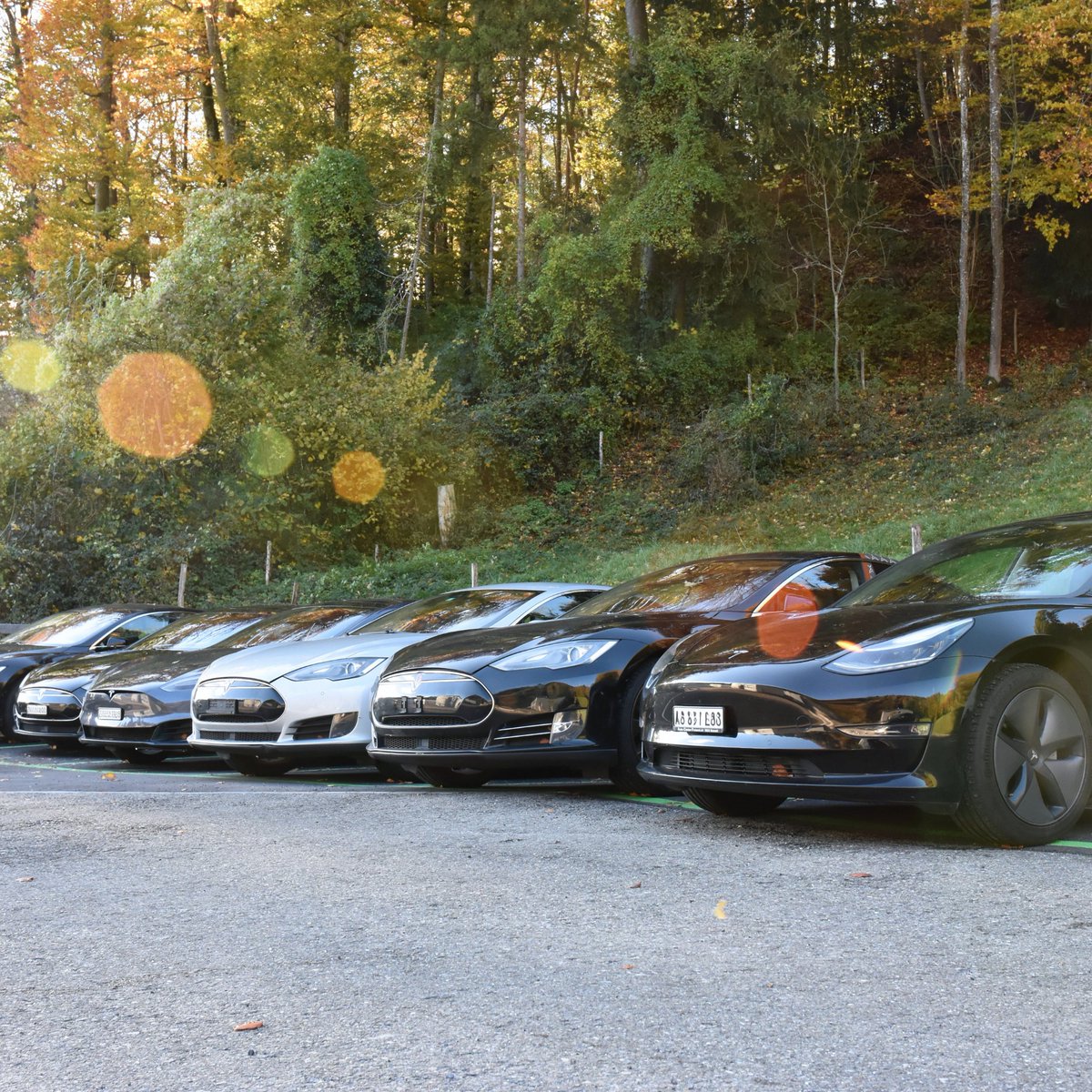 revoltaris's tweet photo. Our company location is in Stallikon, Switzerland – right at the foot of the Üetliberg, peacefully situated, with optimal connections to Zurich and the surrounding area. #teslaservice #electriccar #teslabor https://t.co/CzDDpNjQzs