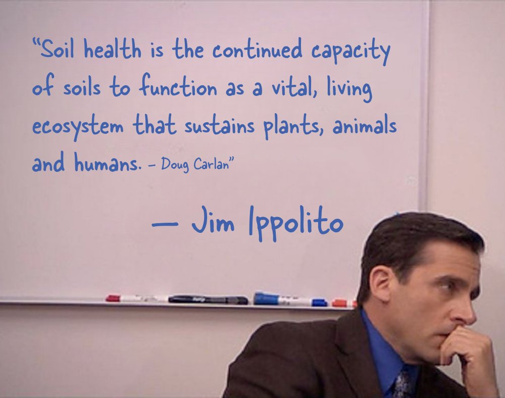 A Penney For Your Thoughts tweet media