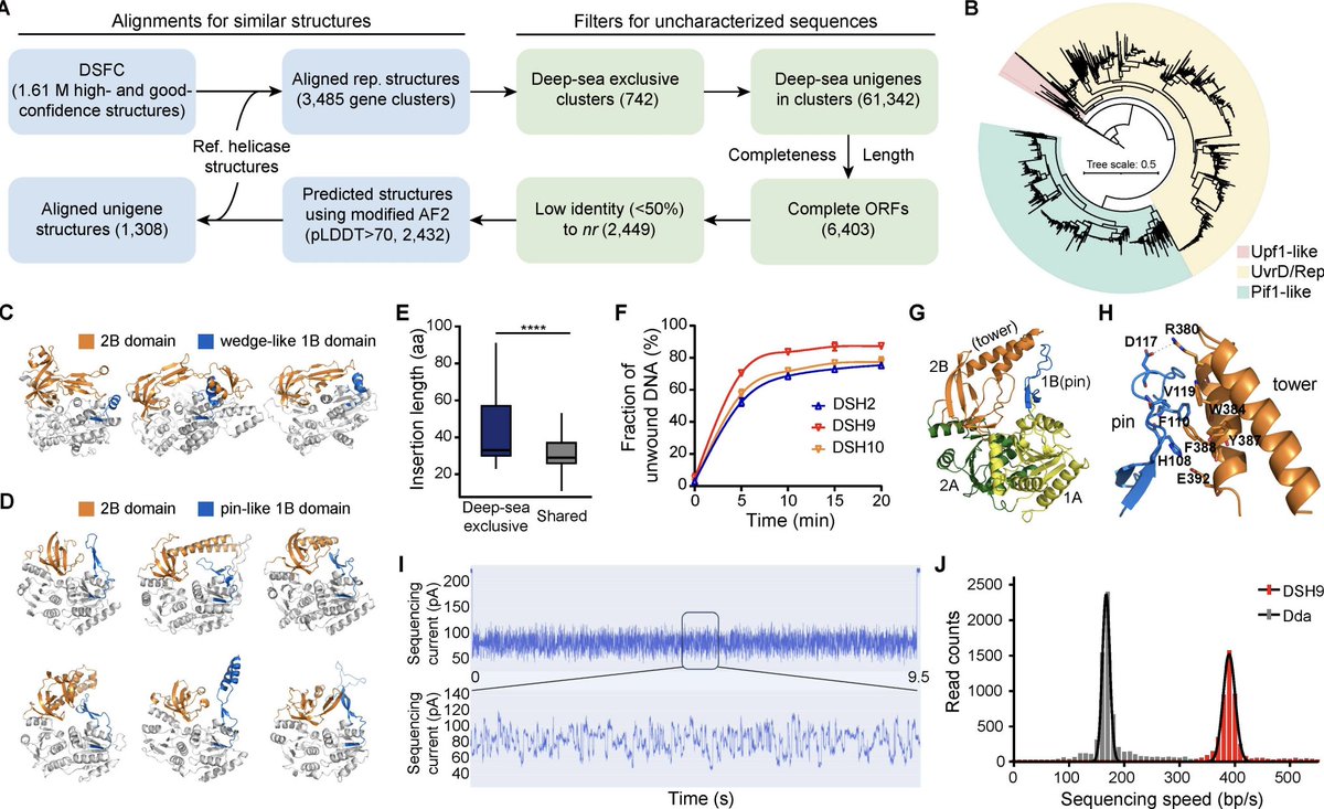Thomas Mock tweet media