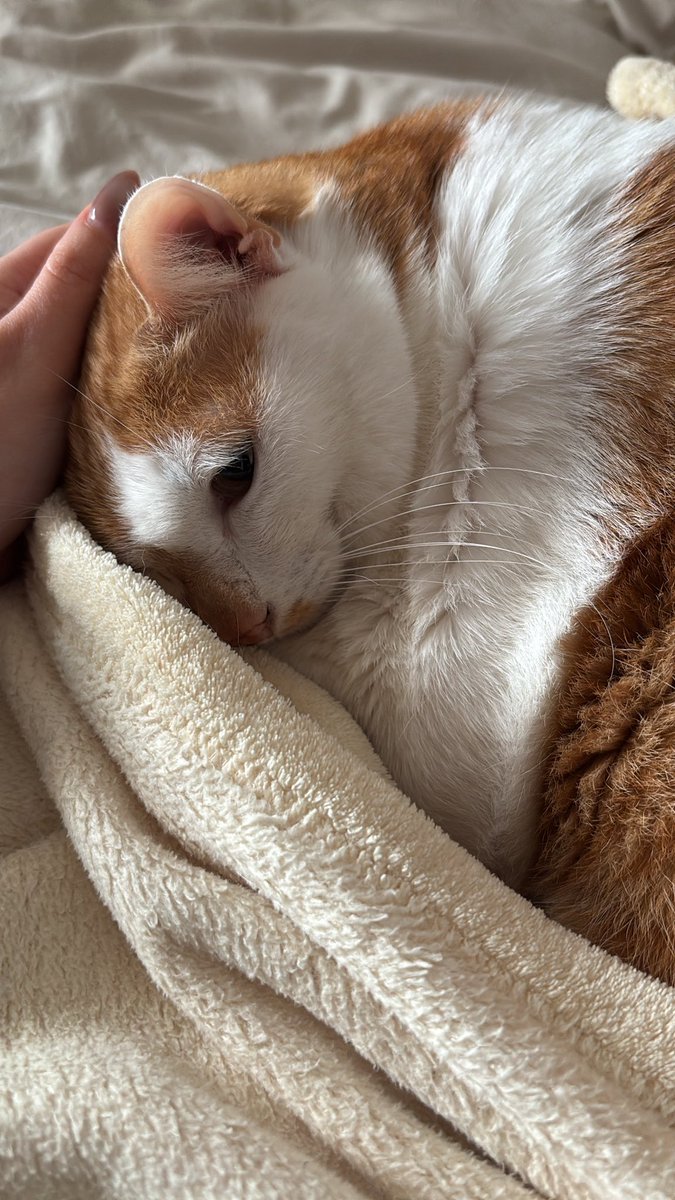 ˙⟡ 🦕.𖥔 ݁🏎️ ⭑mandi⋆ 🏎️˚ ༘🦖✧ tweet media