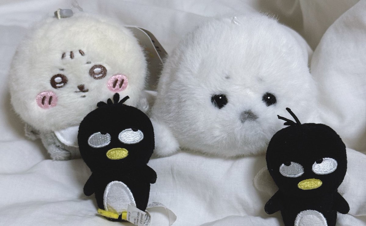 동글동글 짱규니 …………