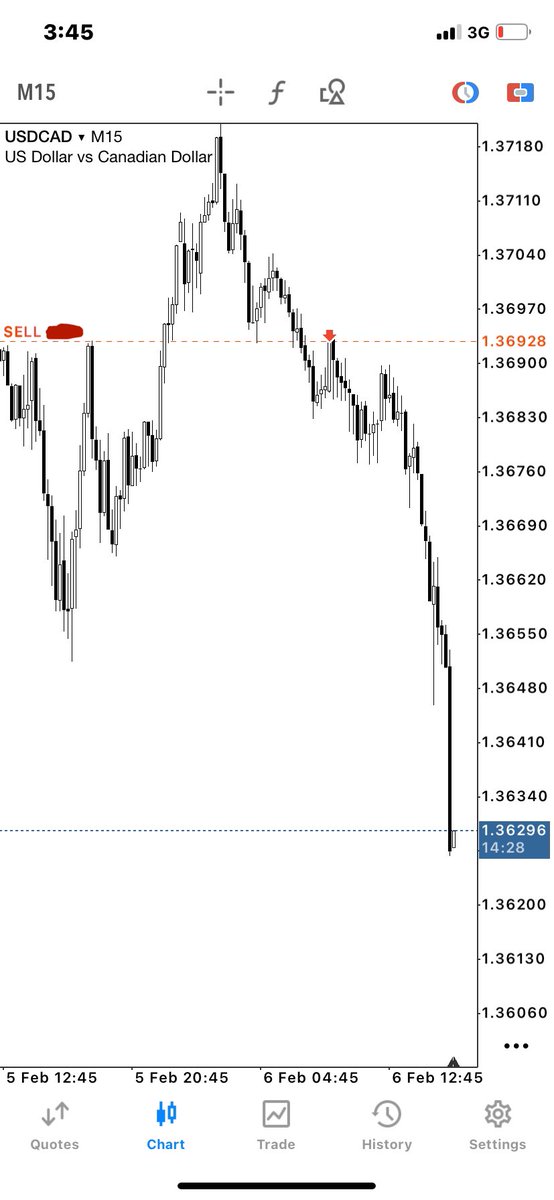 🅜🅕🅧j͛o͛u͛r͛n͛a͛l͛ tweet media