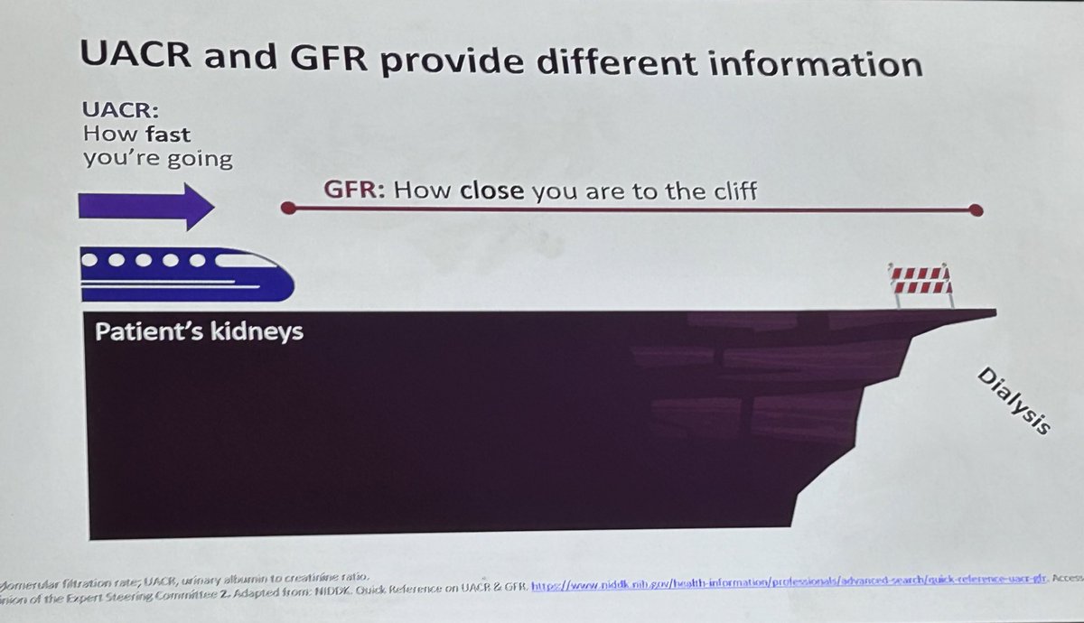 dr_hojele's tweet photo. ✨Nice point 

UACR and GFR tell different kidney stories.

↗️UACR = how fast damage is happening.

↗️GFR = how close you are to kidney failure.

You need both to see the full picture.

#CKD
#الأطباء https://t.co/5fbhB2fEqk