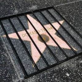 donkoclock's tweet image. Simple Yes or No...

Should Donald Trump's star on the Hollywood walk of fame be removed?