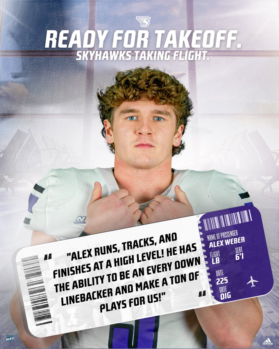 Stonehill Football #DIG tweet media