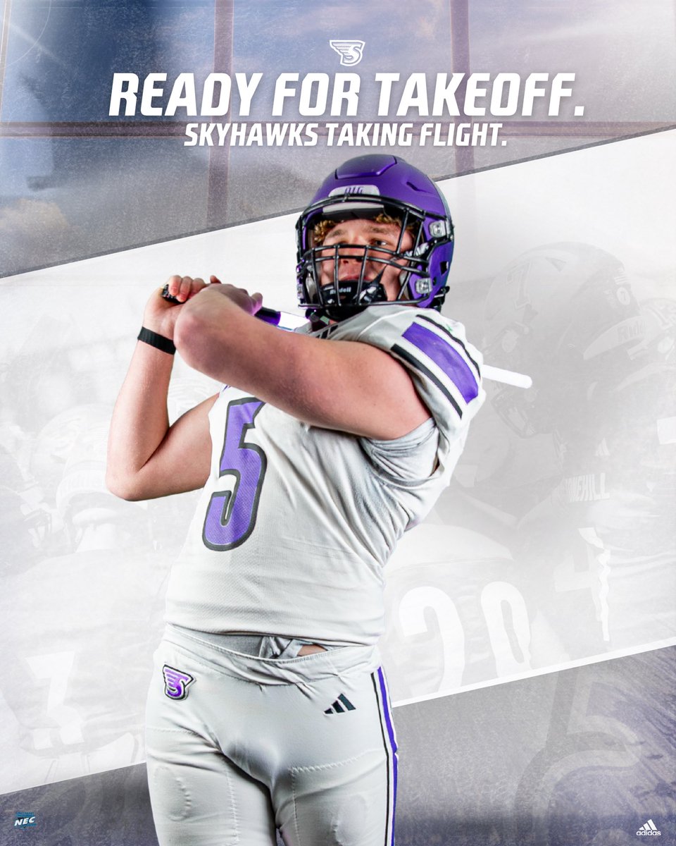Stonehill Football #DIG tweet media