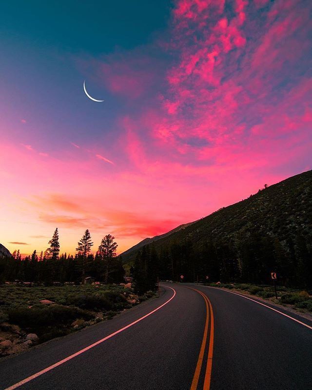 Aesthetics (@aestheticspost_) on Twitter photo 