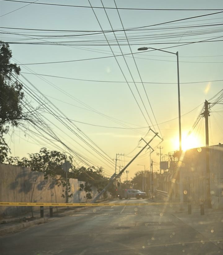 <a href="/Trafico_ZMG/">TráficoZMGuadalajara</a> Esto hoy en El Fortín, Zapopan… sobre H. Colegio Militar… vialidad cerrada y nos quedamos sin energía eléctrica. 
Foto de un vecino.