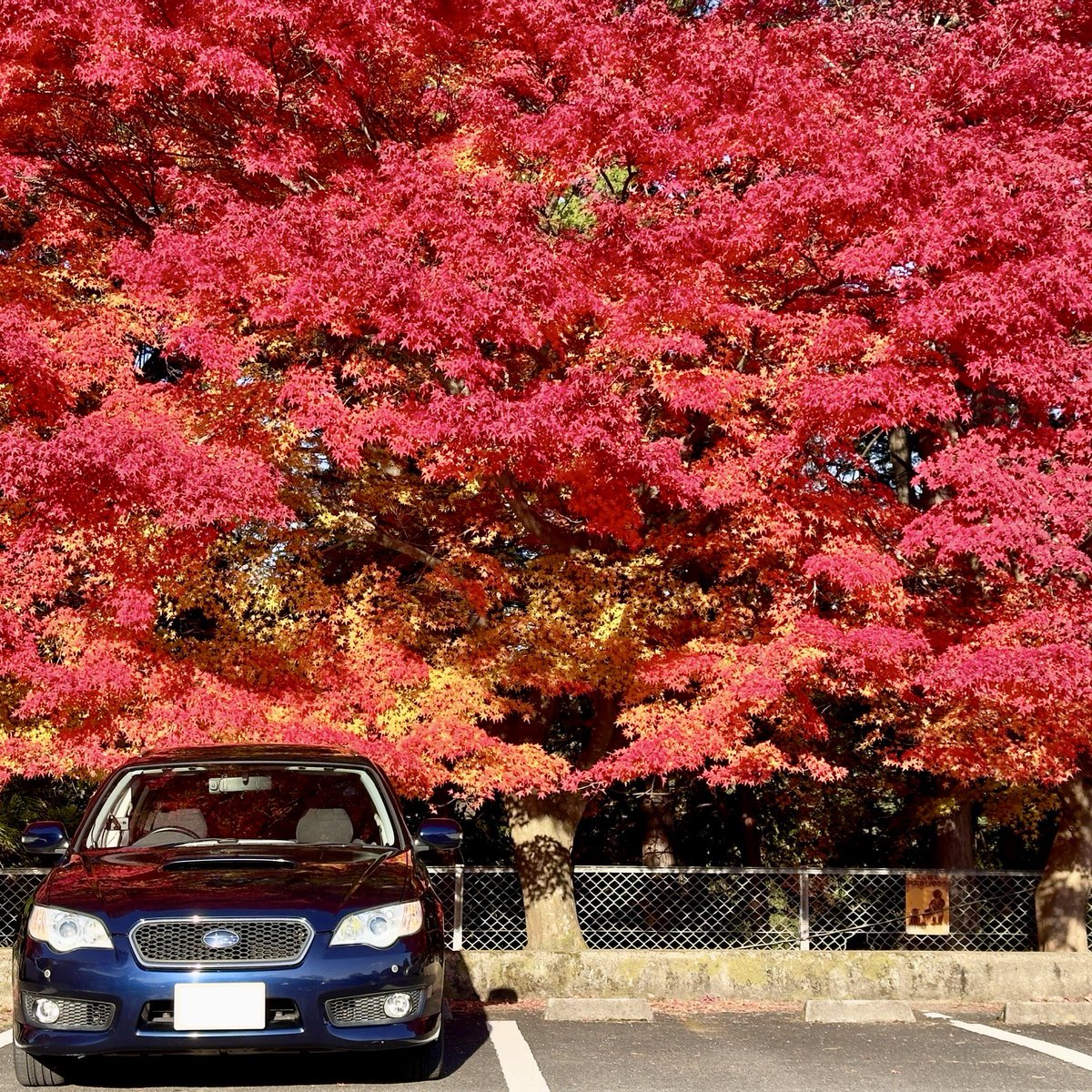 edgar0525's tweet photo. @carsensor #この冬運命のクルマに逢いたいから
この冬行きたい場所はGLAYさんの故郷函館！
凱旋ライブの時に行ったけど、やっぱり冬に行きたい。
ちなカーセンサーで今の車D型BP5 spec.Bに逢えたんだけど、サンルーフ以外のメーカーオプション全載せの極上もの。
なので検索したのは同型のtuned by STI（￣▽￣） https://t.co/NOhxPg60s7