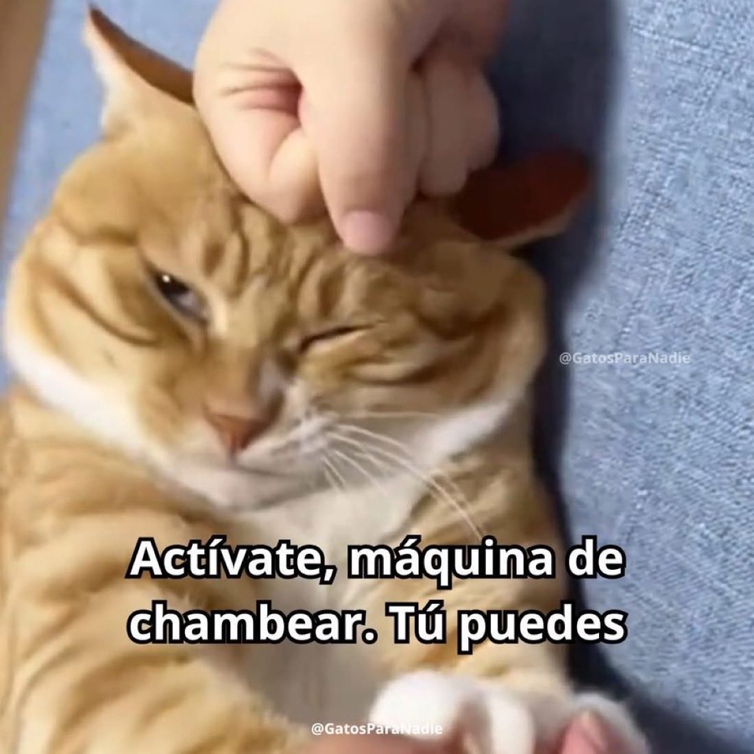 Primero un día productivo… y después fuga o a recargar baterías🙂‍↕️
Feliz viernes 🥳
Here we go 🤜🤛