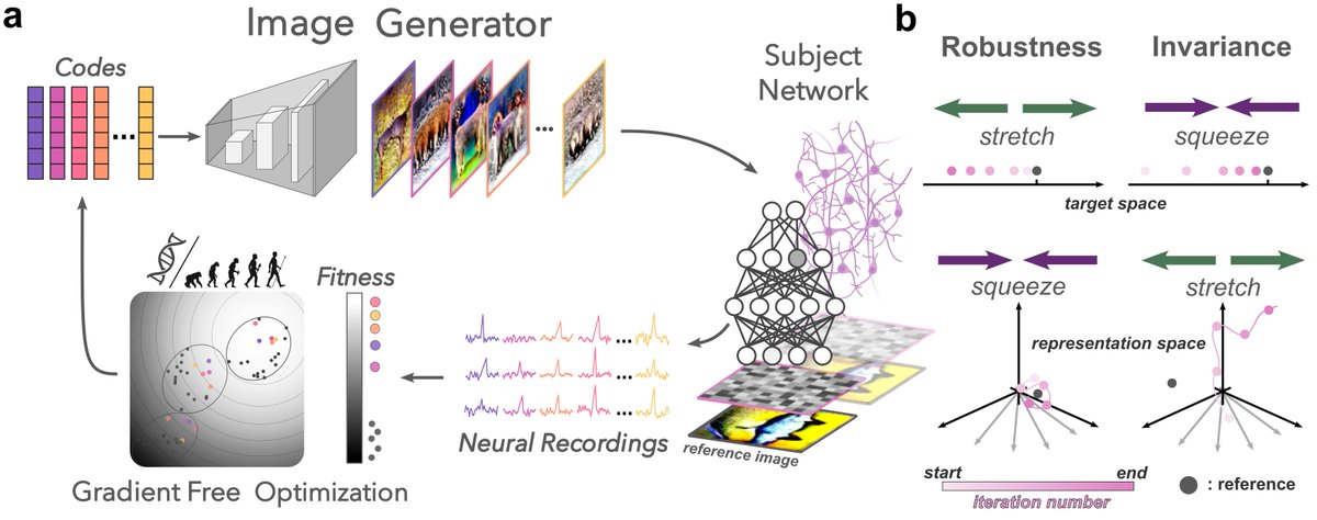 Giacomo Amerio tweet media