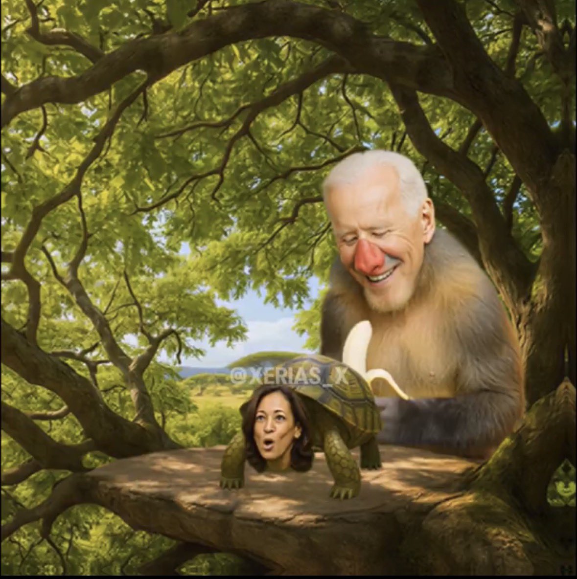 HolyChrisMolina's tweet photo. Tu presidente también puso a Biden también como simio, por lo tanto no es un asunto de racismo. Es importante recordar que Trump es un Boomer que hace cosas de Boomer. https://t.co/fqfwVbSJzk