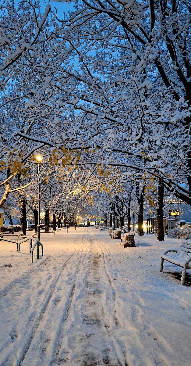 Daryaa9887's tweet photo. Природа — самый честный учебник жизни. Каждая глава учит терпению, росту и красоте перемен. 🌿📖

#природа #жизнь #философия #рост https://t.co/qmBTmNNljv