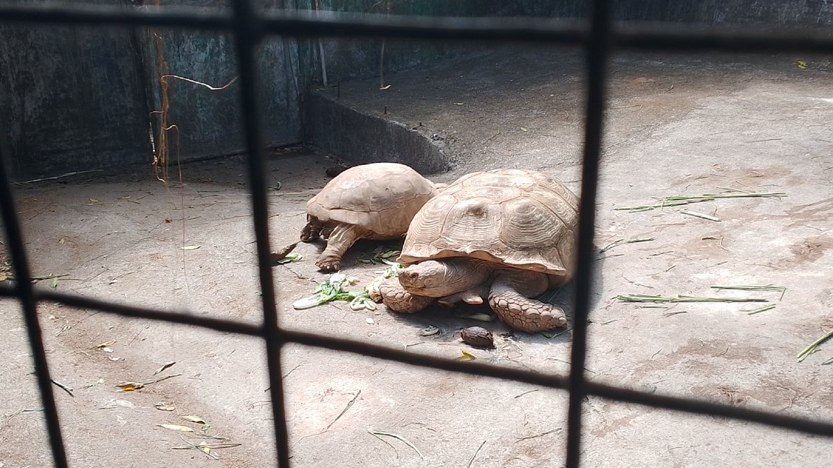 Inky the 2nd tweet media