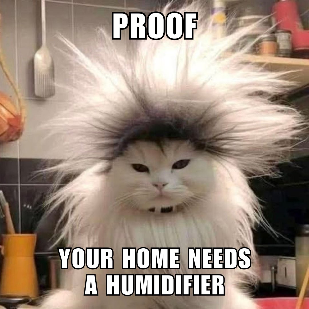 AProfessionalAC's tweet photo. 😂🤣 Happy #FunFriday! 😂🤣 https://t.co/rGoJ7ZVFa6