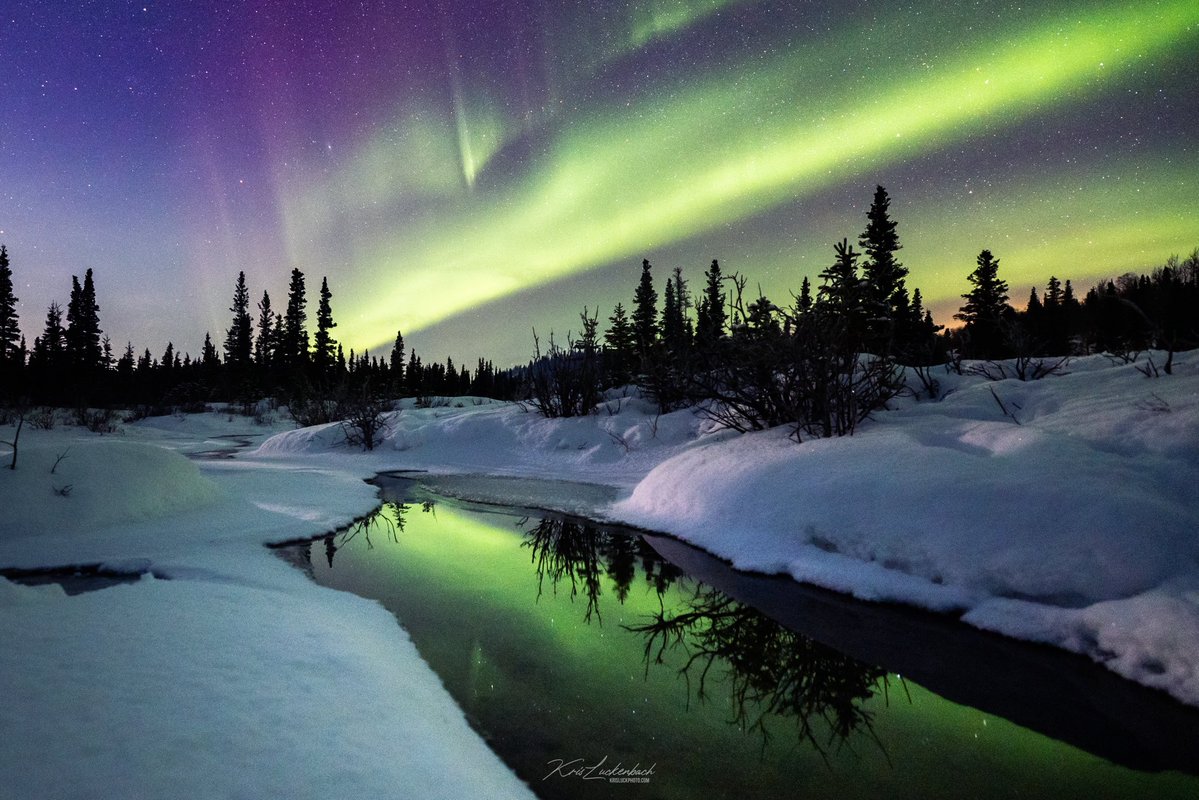 If you hate Generative AI, the best way to fight back is to support real artists.