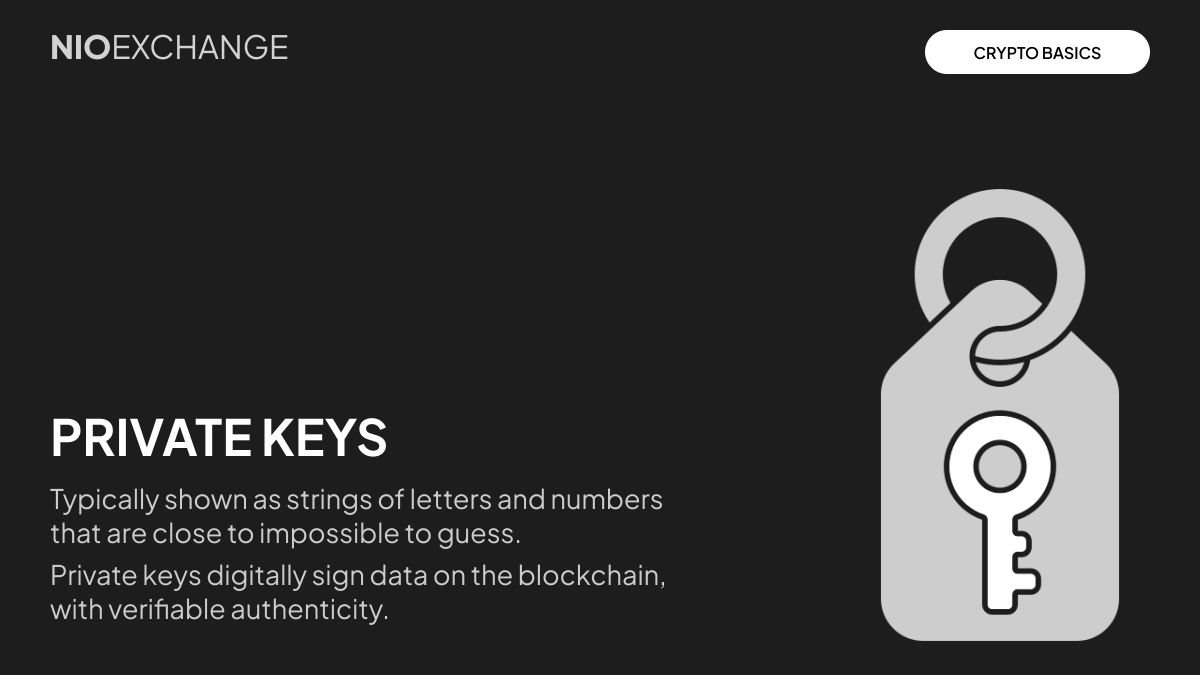 Nioexchange's tweet photo. π Your crypto isnβt stored in an app.
Itβs controlled by your #PRIVATEKEY.
Lose the key = lose access.
Protect it like your digital life depends on it (because it does).
#CryptoBasics #NioX https://t.co/bxszUnVMtZ