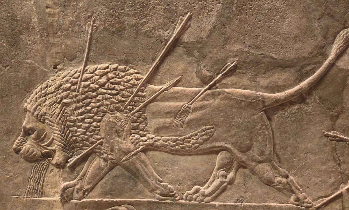 William Dalrymple tweet media