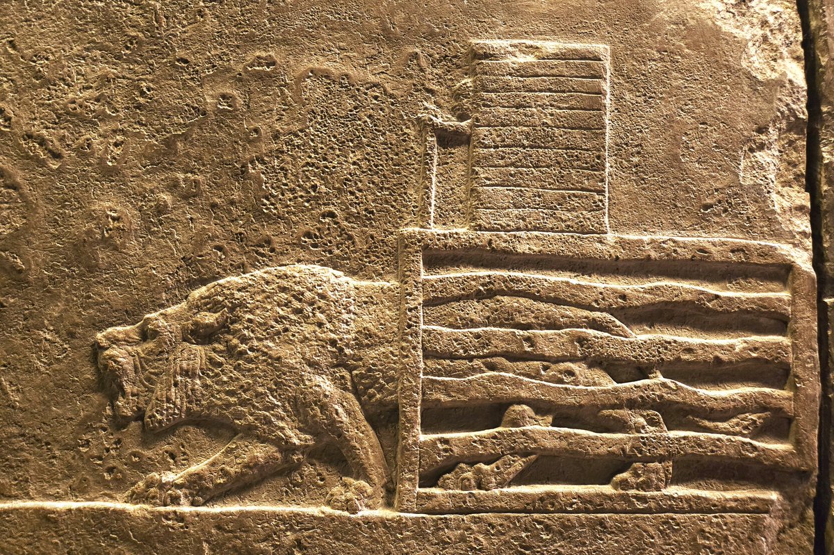 William Dalrymple tweet media