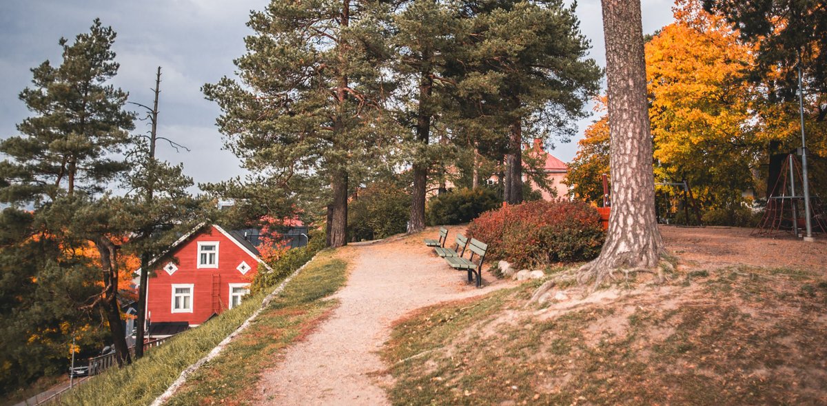 IEEE International Conference on Image Processing tweet media