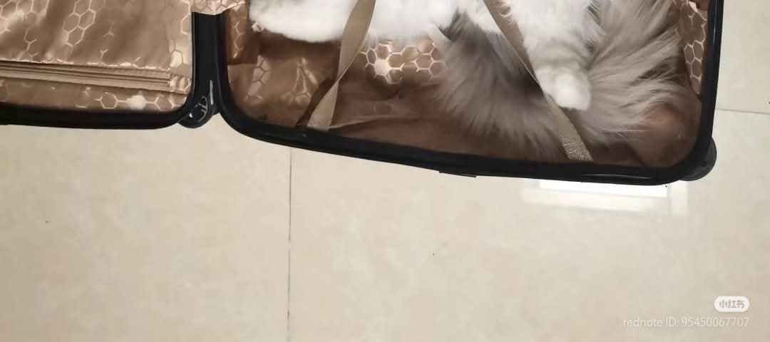 Open it, this is all the luggage i need