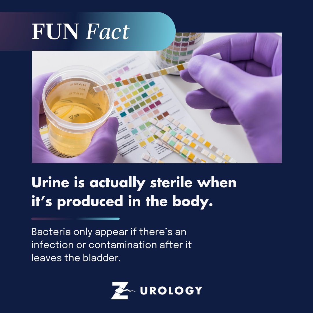 🧠 Fun Fact Friday:
Urine is actually sterile when it’s produced in the body. 🧪
Bacteria only appear if there’s an infection or contamination after it leaves the bladder.

📞 Call (954) 714-8200 or visit zurology.com to learn more about urinary health.