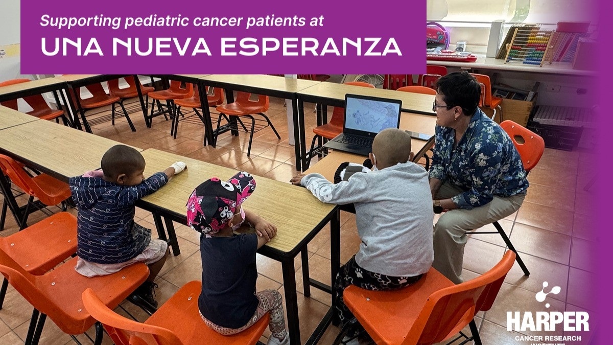 Una Nueva Esperanza tweet media