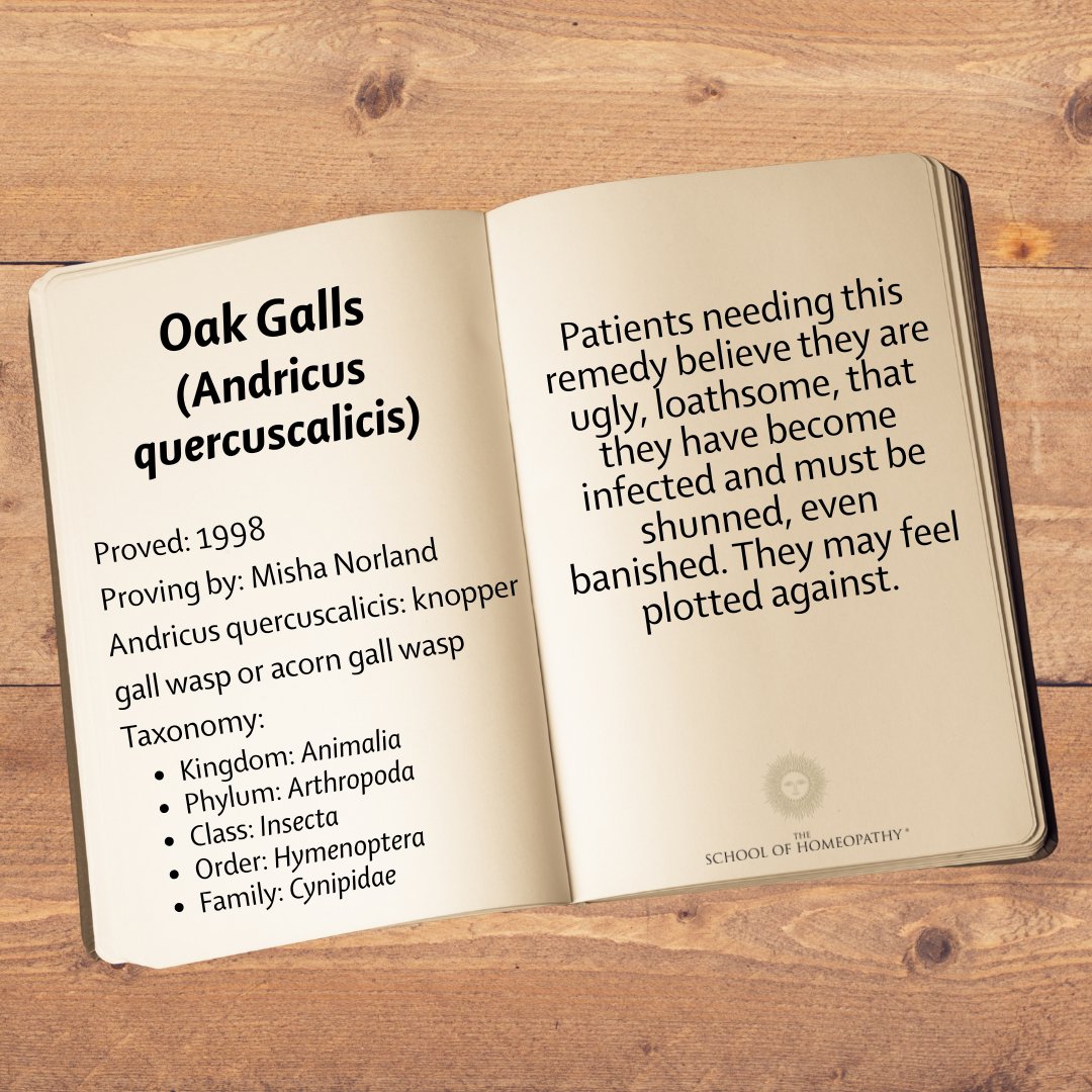 School of Homeopathy tweet media