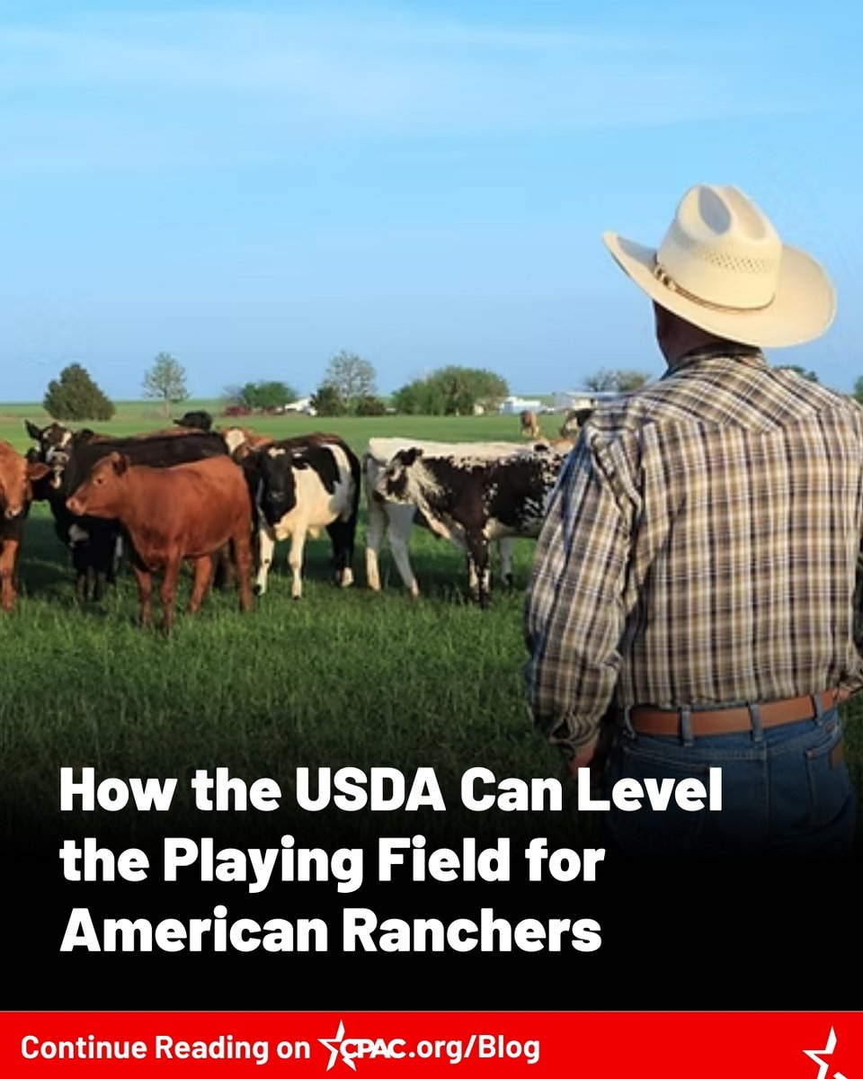 CPACRanchers's tweet photo. The regulatory imbalances that favor imported beef over domestic production didn't emerge from congressional legislation; they arose from administrative interpretations that have drifted far from the legal standards they're supposed to enforce... https://t.co/Q3MqXgFDld