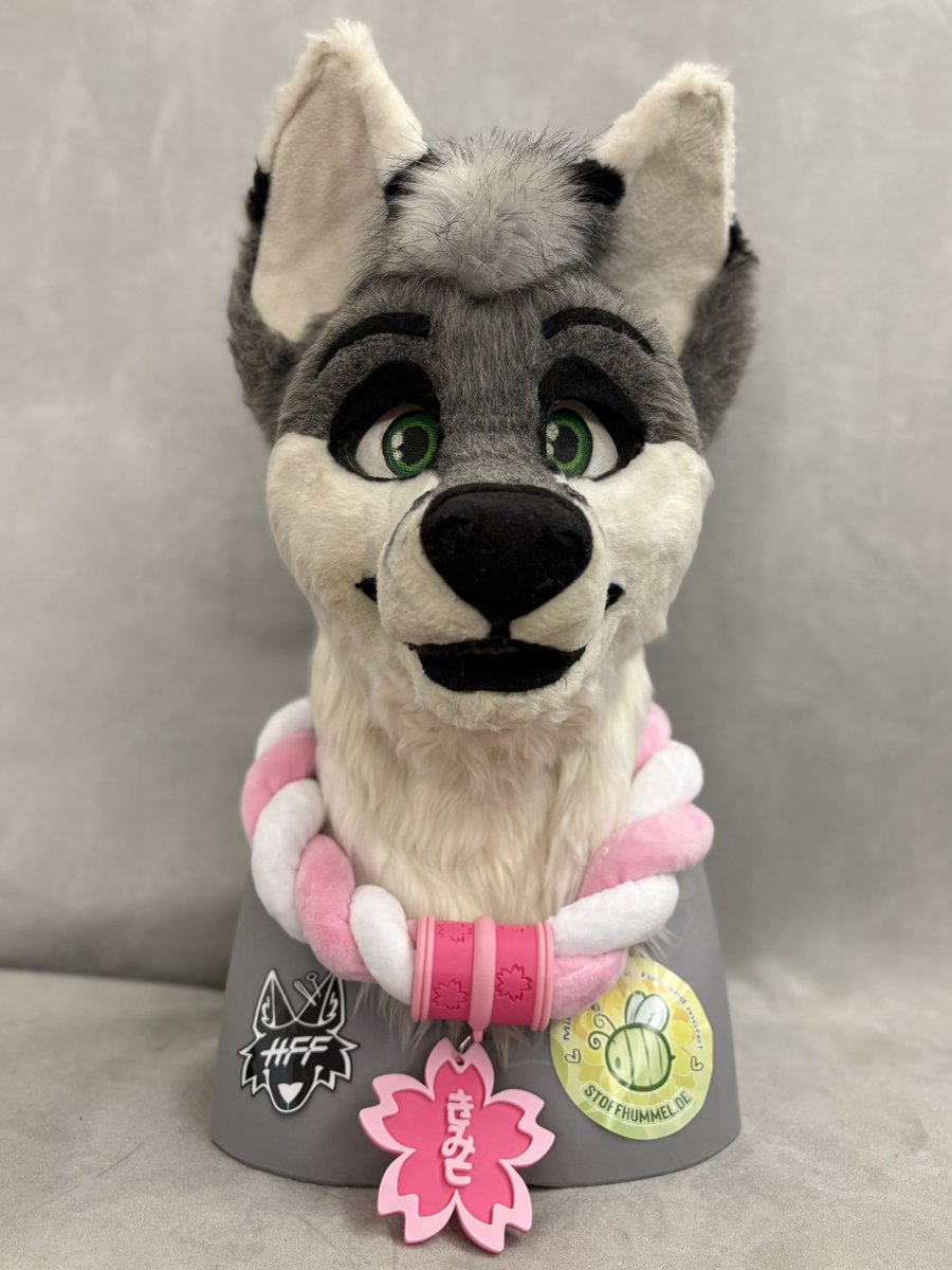 KitsukoFR tweet media