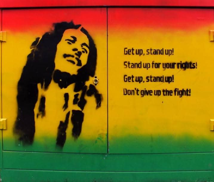 Sol Roots tweet media