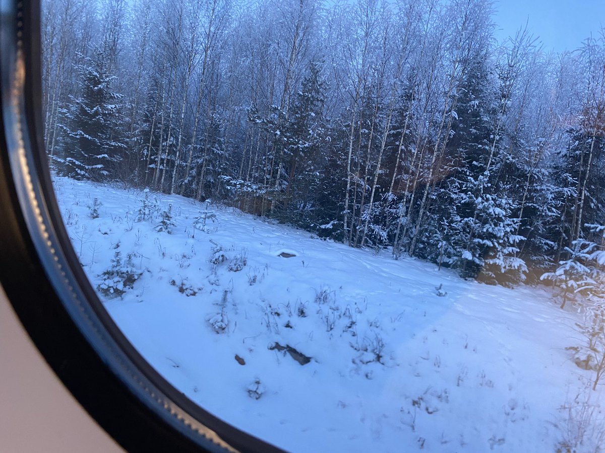 Stephan Arenswald tweet media