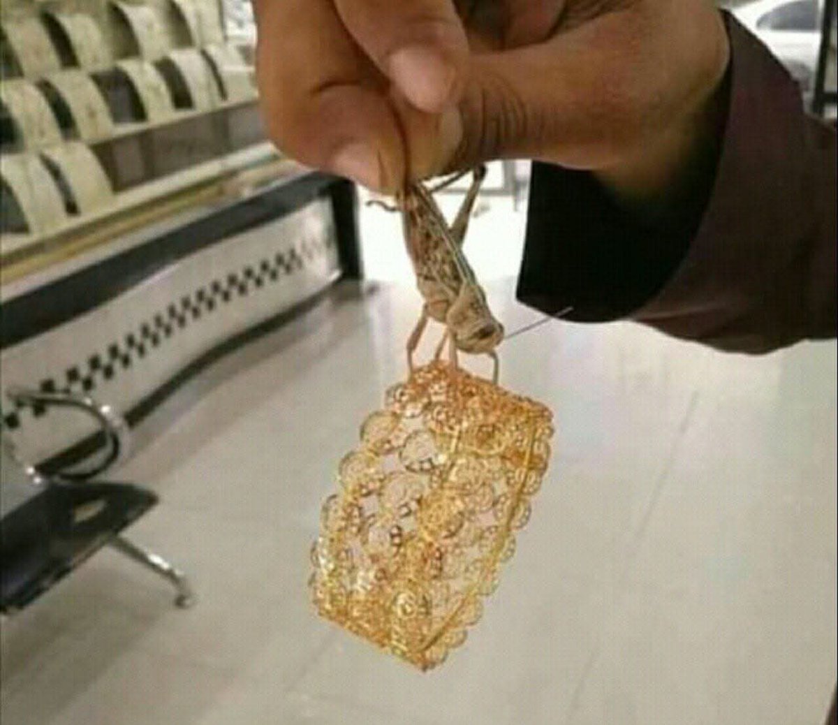 رغم أنني لاأفهم في عالم الجراد، إلا أني أجزم أن هذة أنثى🌚💔"