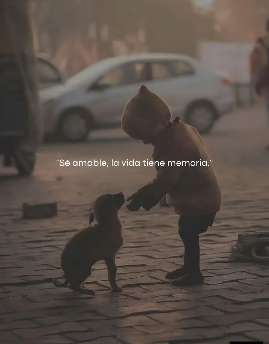BANDIDOS (@bandidosfrasess) on Twitter photo 
