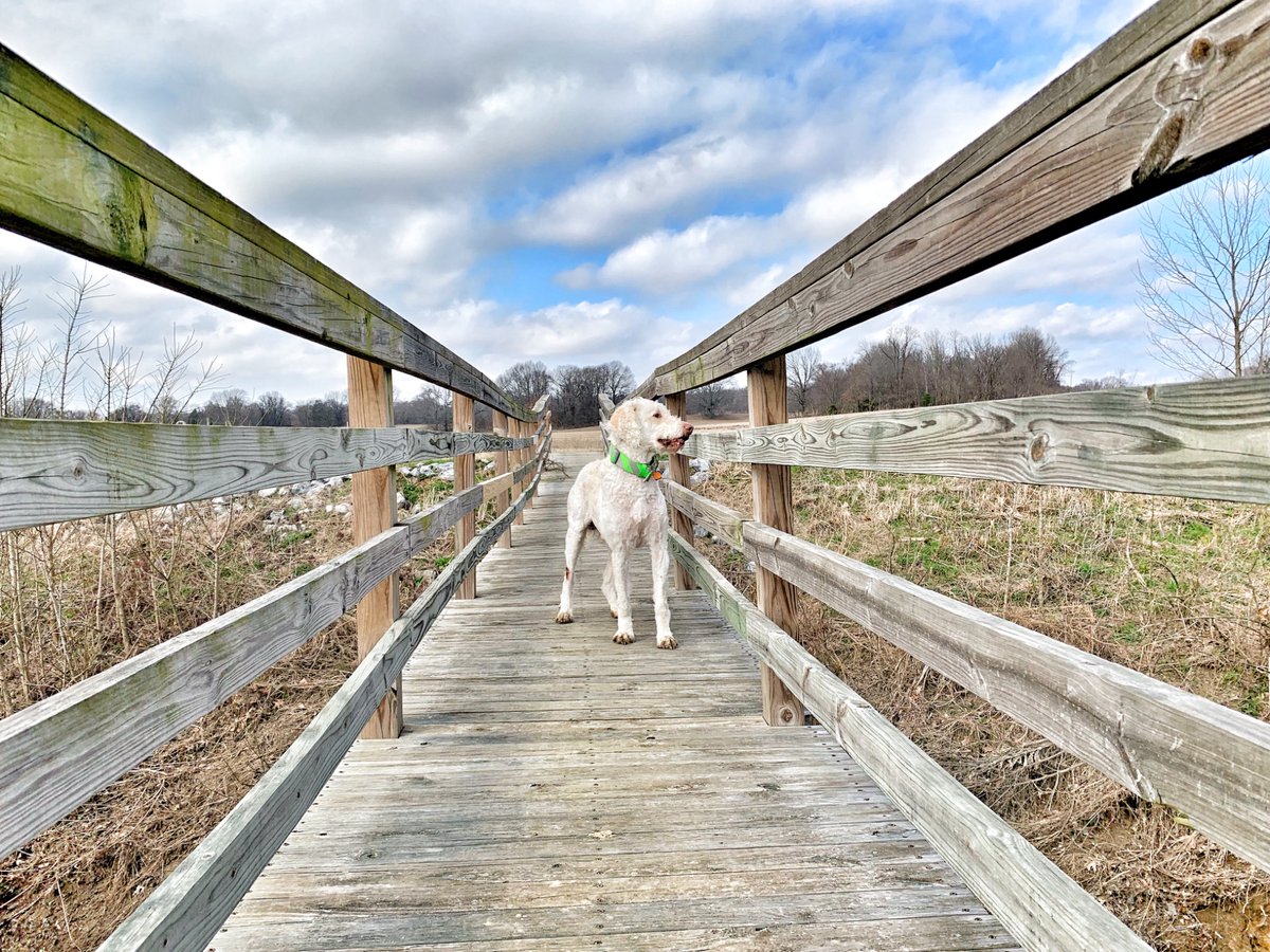 A year ago today a part of me died. 

For every failure there was never a cast of judgement but a return of love. That’s my greatest memory. 

Humans on the other hand … were a hot mess.