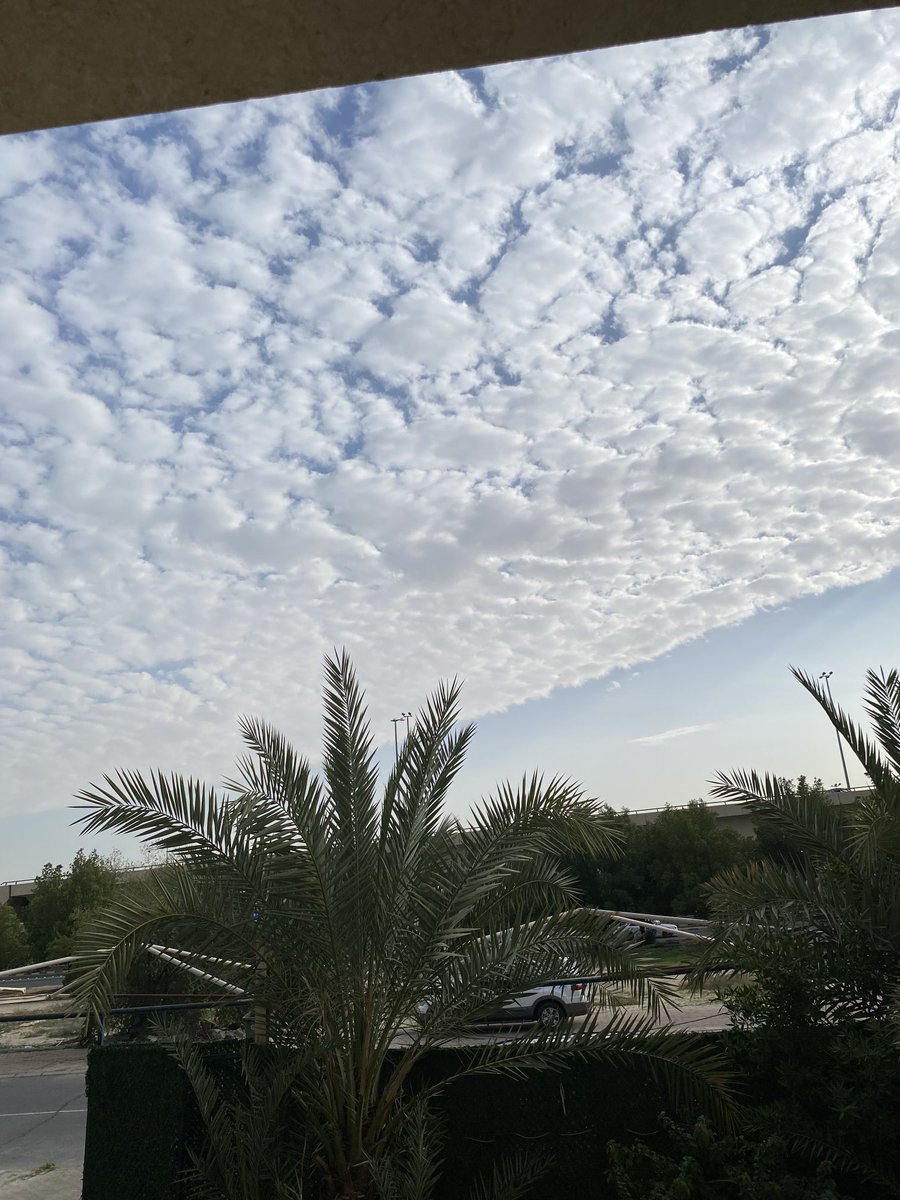 حمد السليمان 🇰🇼 tweet media