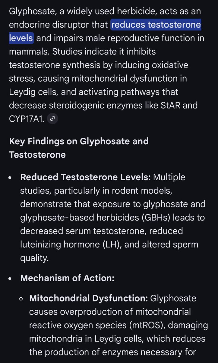 AlexNFTking 👑 tweet media